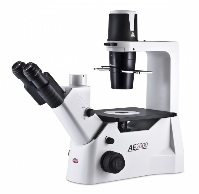 Motic AE 2000 LED mikroskop blodceller